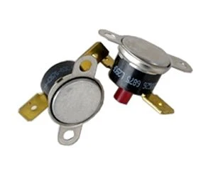 Bradford White Defender Therm Switch (290) Red Dot